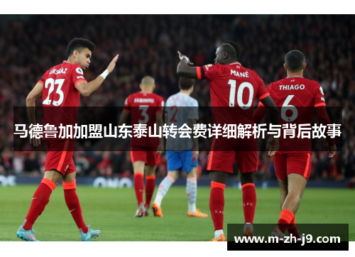 马德鲁加加盟山东泰山转会费详细解析与背后故事