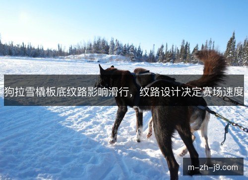 狗拉雪橇板底纹路影响滑行,纹路设计决定赛场速度 狗拉雪橇板底纹路影响滑行,纹路设计决定赛场速度